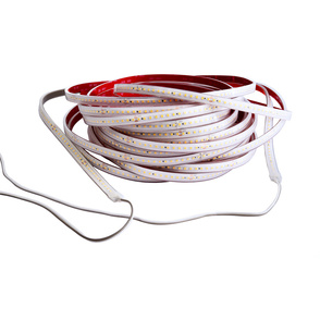 LED Stripes ab IP44 bei Elektro Zimmer in Werningshausen